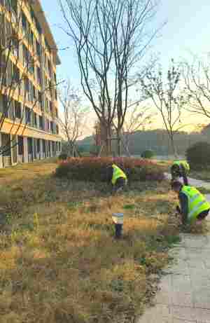 工廠(chǎng)綠化養(yǎng)護(hù)