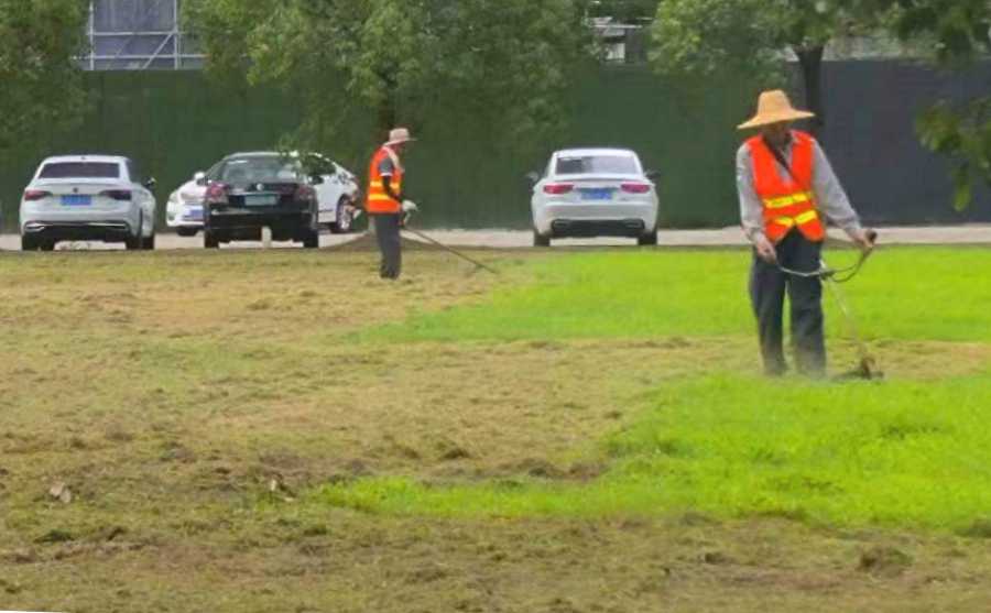 廠區(qū)綠化養(yǎng)護(hù)(圖1)