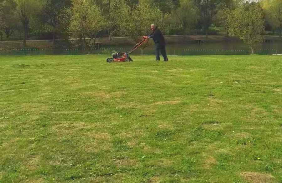 小區(qū)/住宅社區(qū)綠化養(yǎng)護(hù)(圖1)