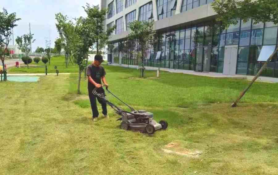 企事業(yè)單位綠化養(yǎng)護(圖1)