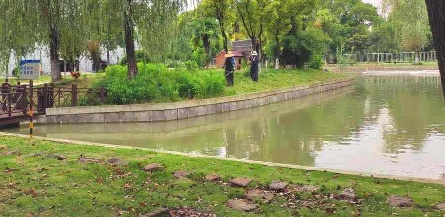 綠化養(yǎng)護(圖1)