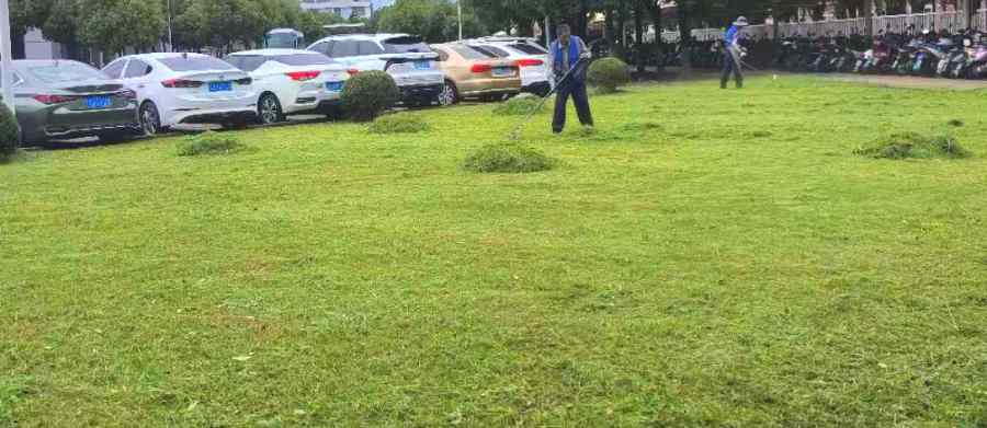 綠化養(yǎng)護(圖2)