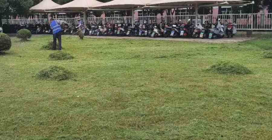 企事業(yè)單位綠化養(yǎng)護(圖2)