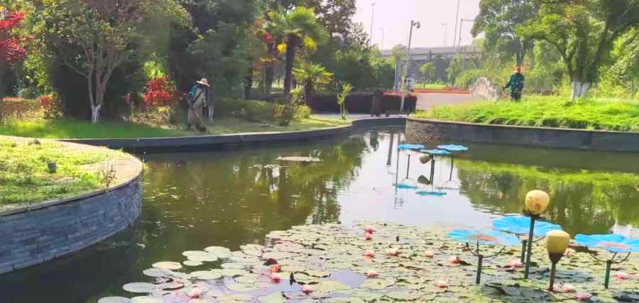 物業(yè)/開發(fā)商綠地養(yǎng)護(圖1)