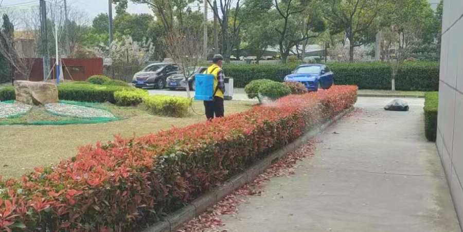 物業(yè)/開發(fā)商綠地養(yǎng)護(圖2)