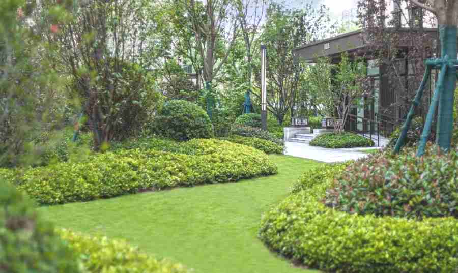 學校/醫(yī)院綠地養(yǎng)護(圖3)