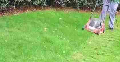 昆山綠化養(yǎng)護(hù)的技術(shù)要點(diǎn)與創(chuàng)新實(shí)踐