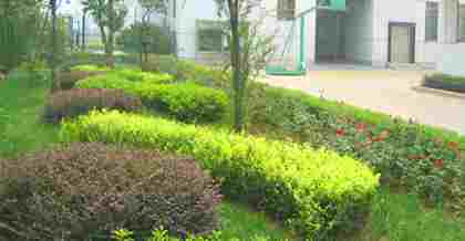 昆山綠化工程竣工驗收備案：流程、要點與意義